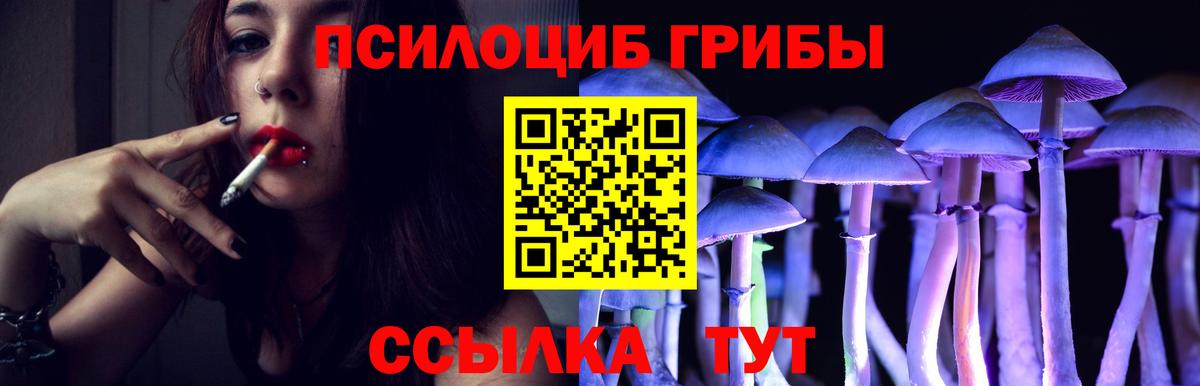 Псилоцибиновые грибы Cubensis Богородицк